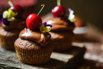 chocolate cherry cupcakes
