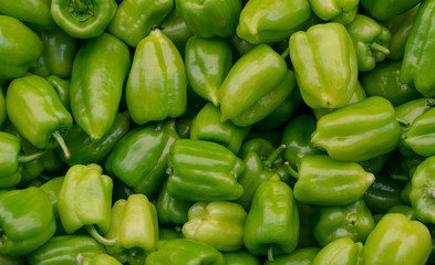 Obraz na płótnie Canvas Green bell pepper. A lot of sweet pepper for the background.