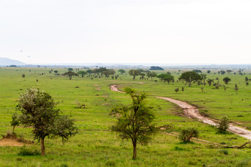Serengeti National Park, Tanzanian national park in the Serengeti ecosystem in the Mara and Simiyu regions