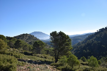 The GR243 path in the Sierra de las Nieves