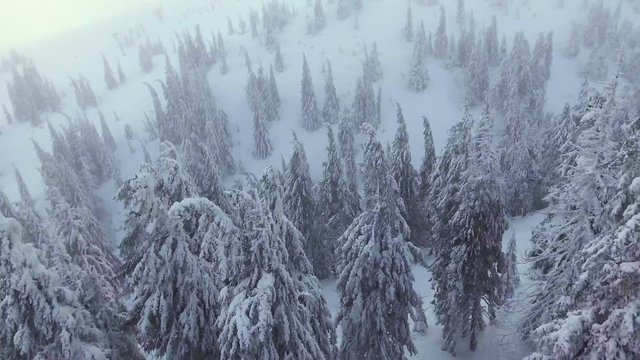 flying over a winter forest in the mountains
