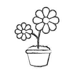 flowerpot  vector illustration