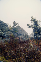 Obraz na płótnie Canvas Dark mountain landscape with big mysterious rocks covered by fog