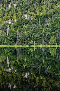 Summer morning in La Mauricie National Park, Quebec, Canada 