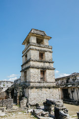Naklejka premium Mayan archeological site in Palenque Mexico
