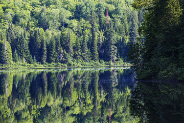Summer morning in La Mauricie National Park, Quebec, Canada 