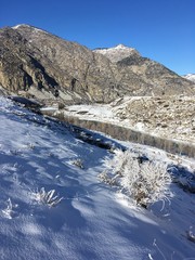 куст покрытый инеем на берегу горной реки