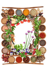 Fototapeta na wymiar Spice and herb abstract border with fresh and dried herbs and spices and cinnamon sticks forming a frame on white background.