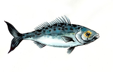 Watercolor fish