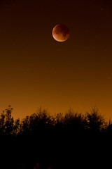 Naklejka premium Lunar Eclipse