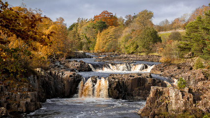 Low Force Waterfall