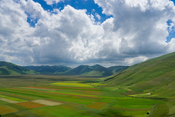 Great plain of Catelluccio covered with flower. Umbria, Italy