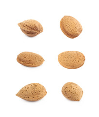 Single almond nut isolated
