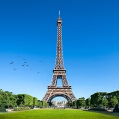 Fotobehang Eiffeltoren in Parijs, Frankrijk © eyetronic