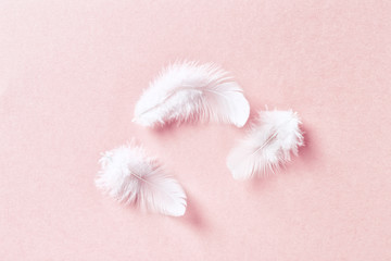 White feathers on pastel pink background