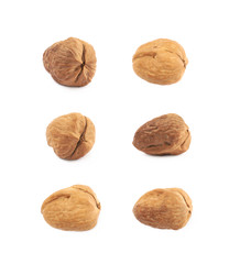 Single walnut isolated