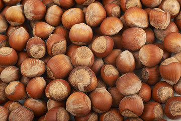 Surface coated with hazelnuts