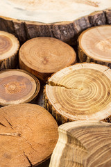 tree, wood, wooden, background, texture