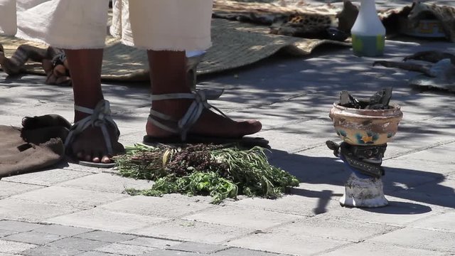 Limpia Mexicana Chaman