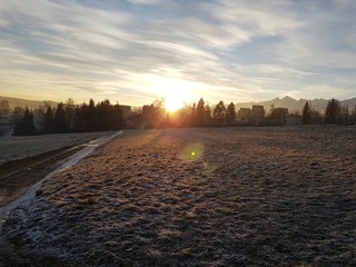 Poranek © michalsen