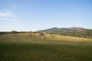 Obraz premium Meadow with trees and views to mountains. Slovakia