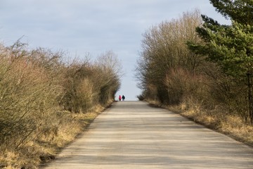 Couple walking in the forest. Slovakia