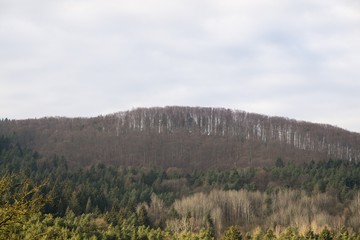 Meadow with trees and views to mountains. Slovakia