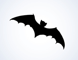 Bat. Vector drawing
