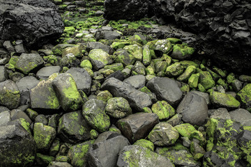 NorthernIrelandGreenRocks