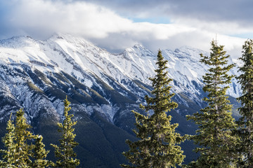 Majestic mountain range covered in snow and forests