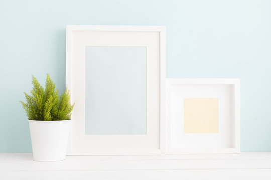 Two photo frames and a plant. Modern interior, minimal mock up.