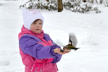 Сhild, kid feeds small birds from the hands in the winter forest.Lifestyle of entertainment, leisure, games in the winter.