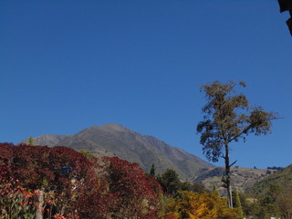 Jardin frente a montañas