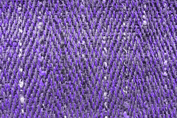 Texture of woolen natural fabric old in fashionable rural style background pattern ultraviolet