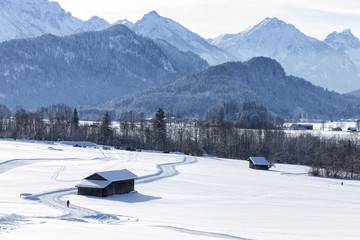 Fototapeta na wymiar Alps in the snow