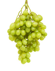bunch of ripe and juicy green grapes close-up on a white background