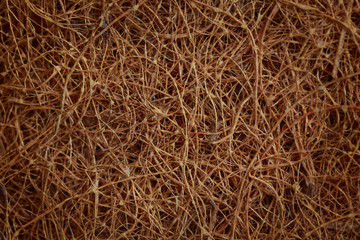 The background is coconut. Coconut layer in the mattress. Bed. Horizontal. Macro