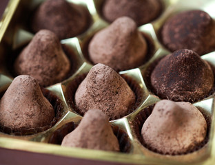 Homemade chocolate truffles with mint sprinkled with cocoa powder, selective focus