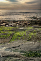 Diverse Beauty Graces the California Coast
