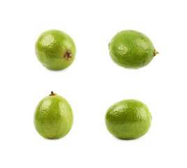 Green lime fruit isolated