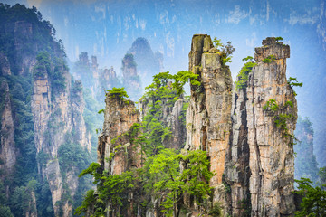 Fototapeta premium Landscape of Zhangjiajie. Located in Wulingyuan Scenic and Historic Interest Area in china.