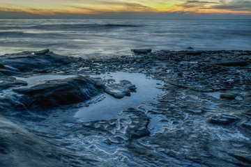 Diverse Beauty Graces the California Coast