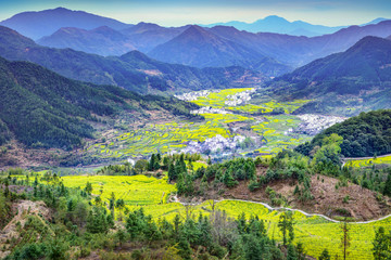 Terraced fields of Wuyuan County with Yellow oilseed rape field and Blooming canola flowers in spring. It's very quiet. People refer it to as the most beautiful village of China.