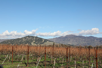 Vaca Mountains Napa  Valley, California with winter sky and clouds