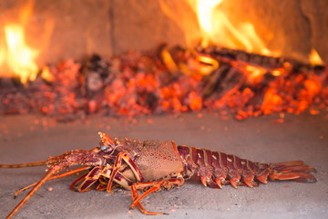 Lobster in the wooden oven, restautant Croatia
