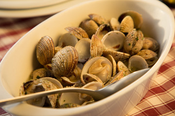Clams served in restaurant in Croatia