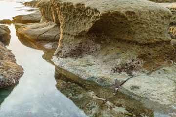 Diverse Beauty Graces the California Coast