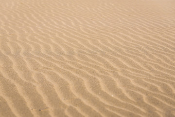 Fototapeta na wymiar Details of sand on Atlantic Ocean Cabedelo Beach in Viana do Castelo, Portugal