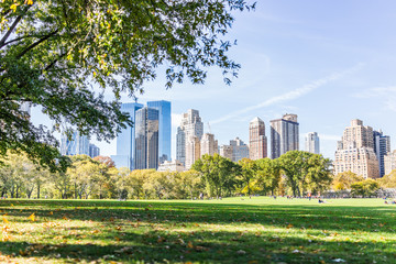 Manhattan NYC Central park Great Lawn in New York City with people walking on green grass meadow in autumn fall season, buildings cityscape skyline