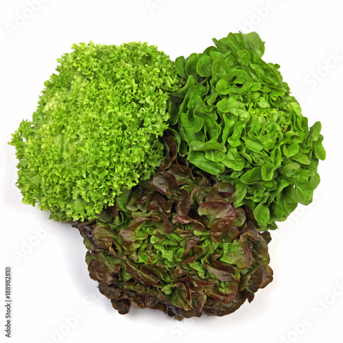 Drei Verschiedene Salatkopfe Stock Photo And Royalty Free Images